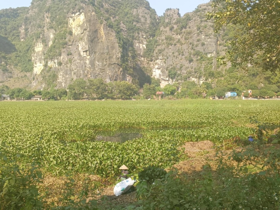 Viaggio in Vietnam