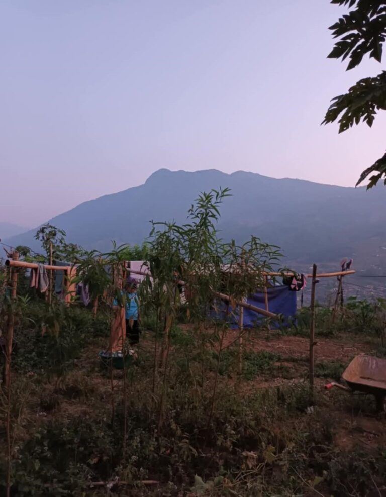 Homestay a Sapa, Vietnam