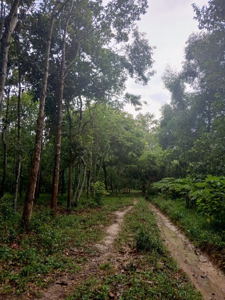 Angkor Botanical Garden