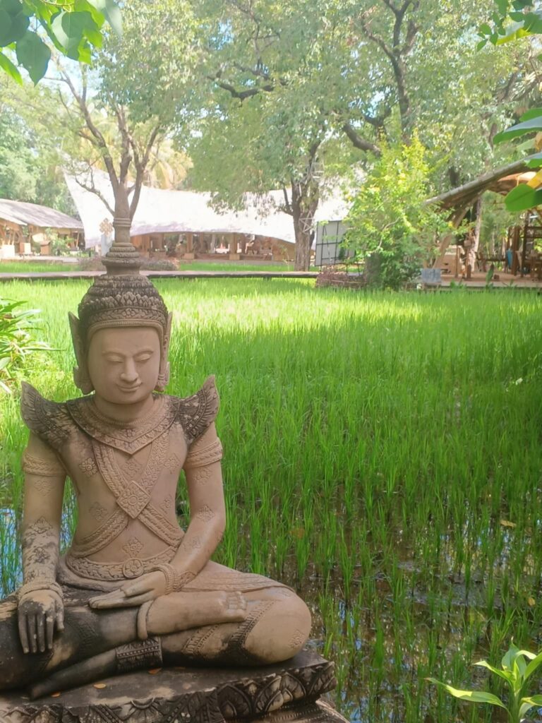 Satcha, Siem Reap